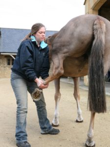 Assessing range of motion in hindlimb